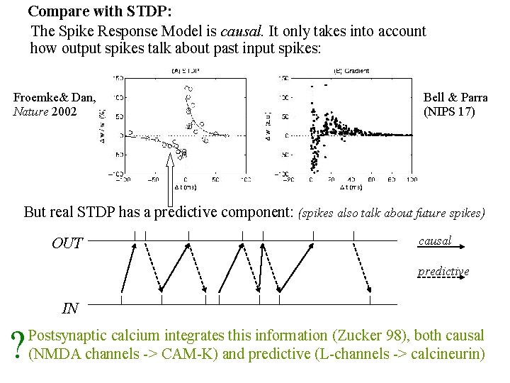 Compare with STDP: The Spike Response Model is causal. It only takes into account