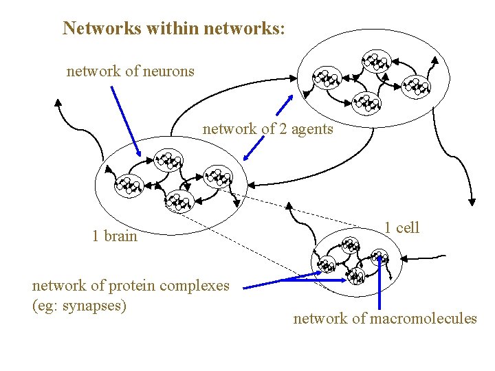 Networks within networks: network of neurons network of 2 agents 1 brain network of