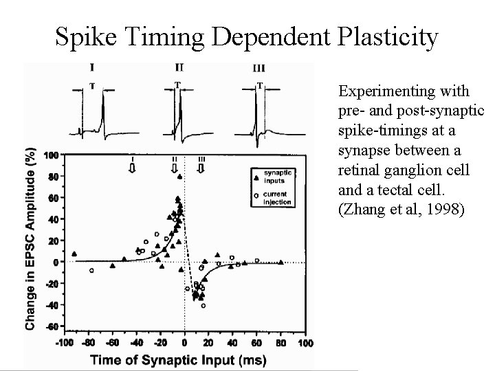 Spike Timing Dependent Plasticity Experimenting with pre- and post-synaptic spike-timings at a synapse between