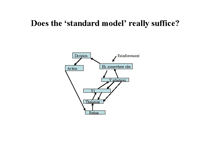 Does the ‘standard model’ really suffice? Decision Reinforcement Eh. . somewhere else Action V