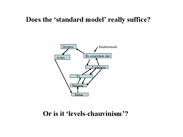 Does the ‘standard model’ really suffice? Decision Reinforcement Eh. . somewhere else Action V