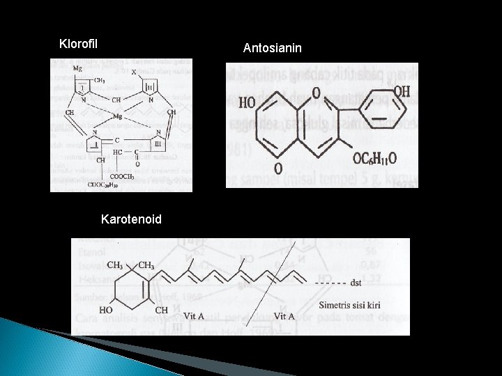 Klorofil Antosianin Karotenoid 