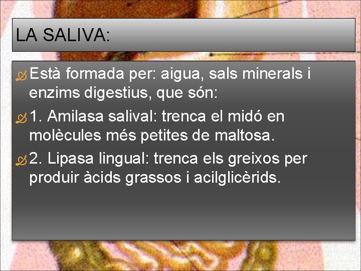 LA SALIVA: Està formada per: aigua, sals minerals i enzims digestius, que són: 1.