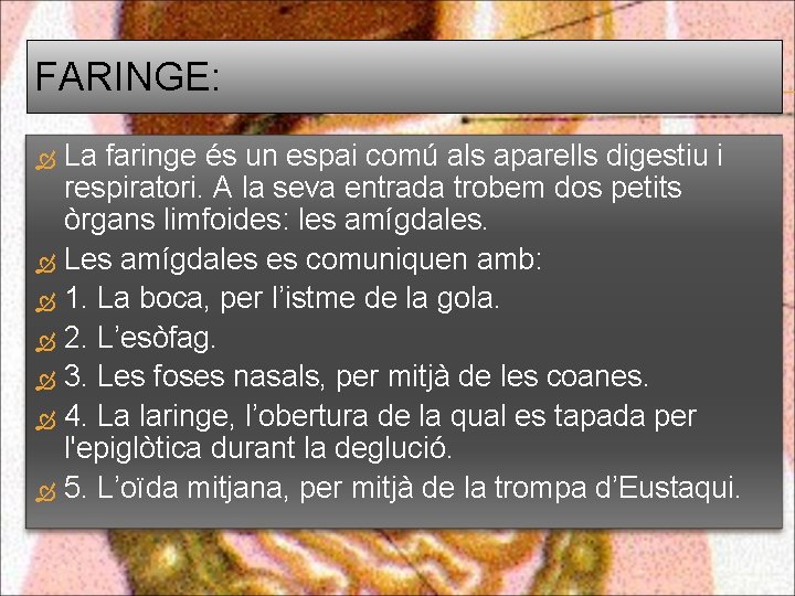 FARINGE: La faringe és un espai comú als aparells digestiu i respiratori. A la