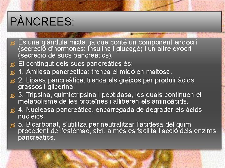 PÀNCREES: És una glàndula mixta, ja que conté un component endocrí (secreció d’hormones: insulina