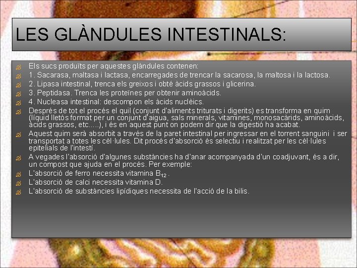 LES GLÀNDULES INTESTINALS: Els sucs produïts per aquestes glàndules contenen: 1. Sacarasa, maltasa i