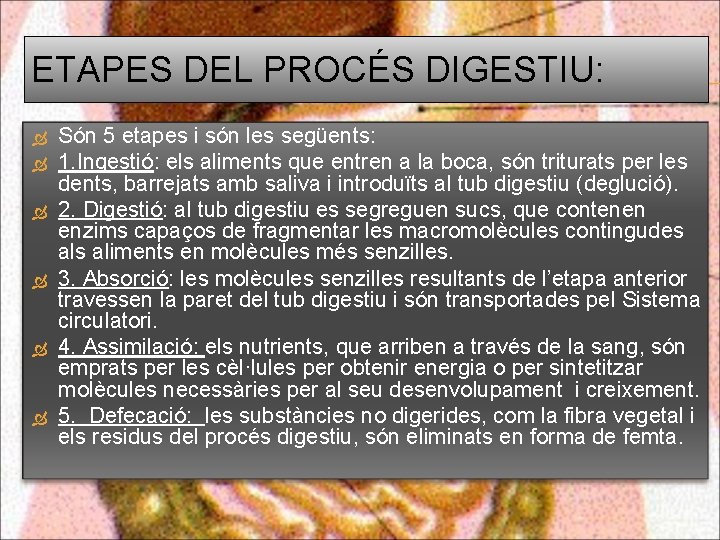 ETAPES DEL PROCÉS DIGESTIU: Són 5 etapes i són les següents: 1. Ingestió: els