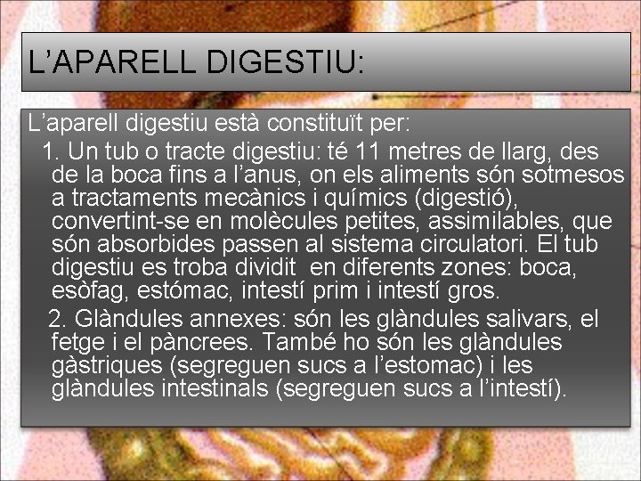 L’APARELL DIGESTIU: L’aparell digestiu està constituït per: 1. Un tub o tracte digestiu: té