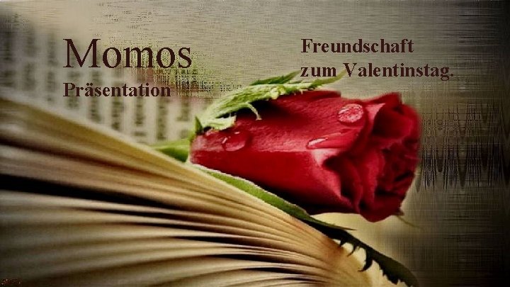 Momos Präsentation Freundschaft zum Valentinstag. 