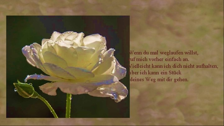 Wenn du mal weglaufen willst, ruf mich vorher einfach an. Vielleicht kann ich dich