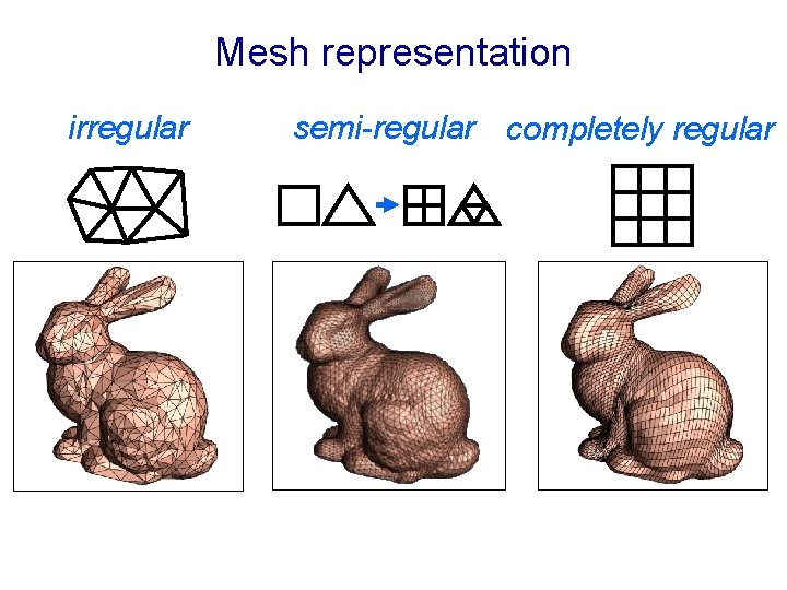 Mesh representation irregular semi-regular completely regular 