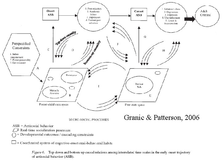 Granic & Patterson, 2006 