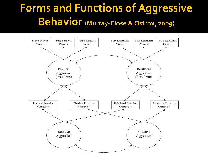 Forms and Functions of Aggressive Behavior (Murray-Close & Ostrov, 2009) 