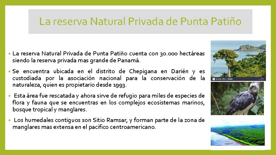 La reserva Natural Privada de Punta Patiño • La reserva Natural Privada de Punta