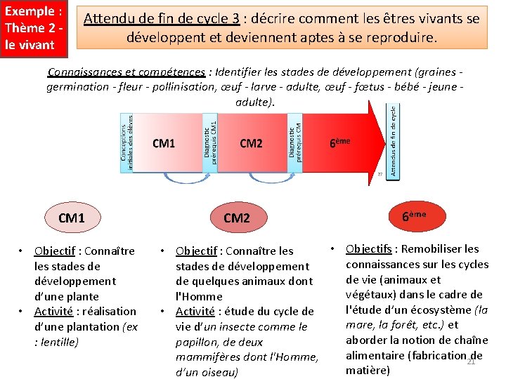 Exemple : Thème 2 - le vivant Attendu de fin de cycle 3 :