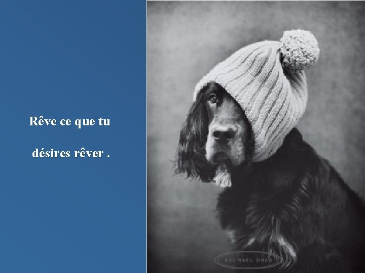 Rêve ce que tu désires rêver. 