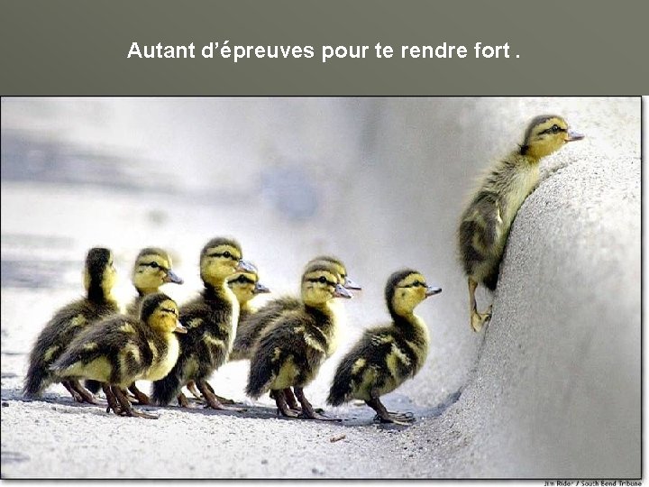 Autant d’épreuves pour te rendre fort. 