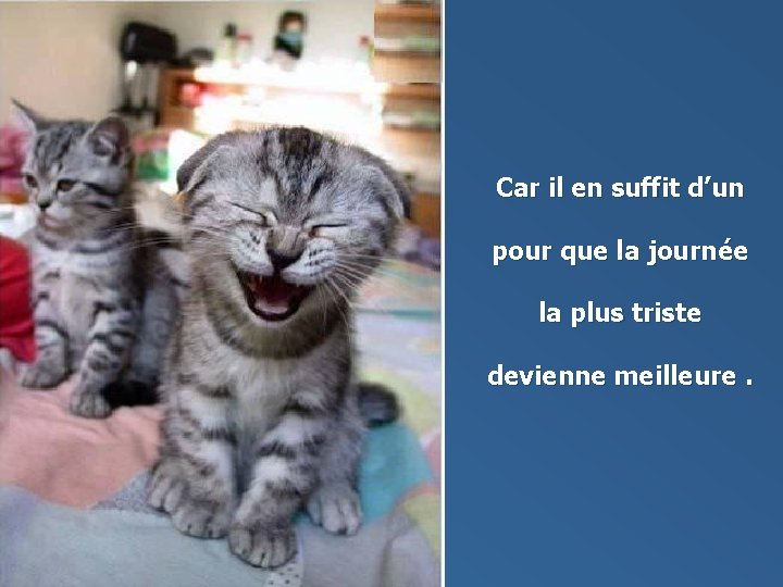 Car il en suffit d’un pour que la journée la plus triste devienne meilleure.