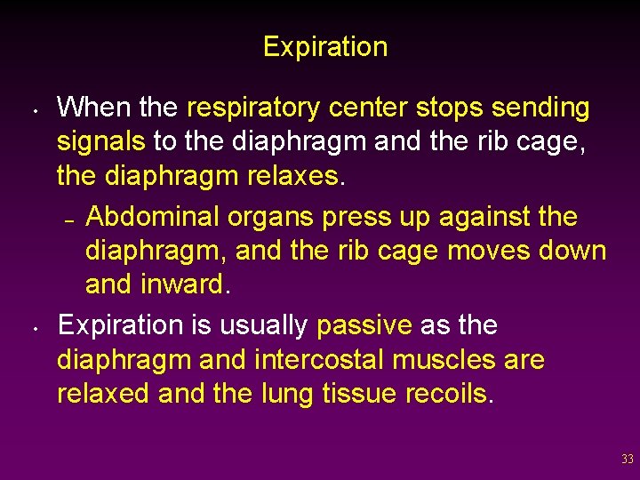 Expiration • • When the respiratory center stops sending signals to the diaphragm and