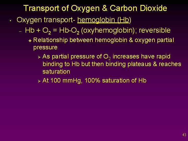 Transport of Oxygen & Carbon Dioxide • Oxygen transport- hemoglobin (Hb) – Hb +