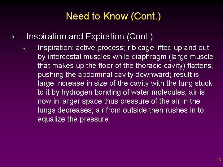 Need to Know (Cont. ) 3. Inspiration and Expiration (Cont. ) e) Inspiration: active
