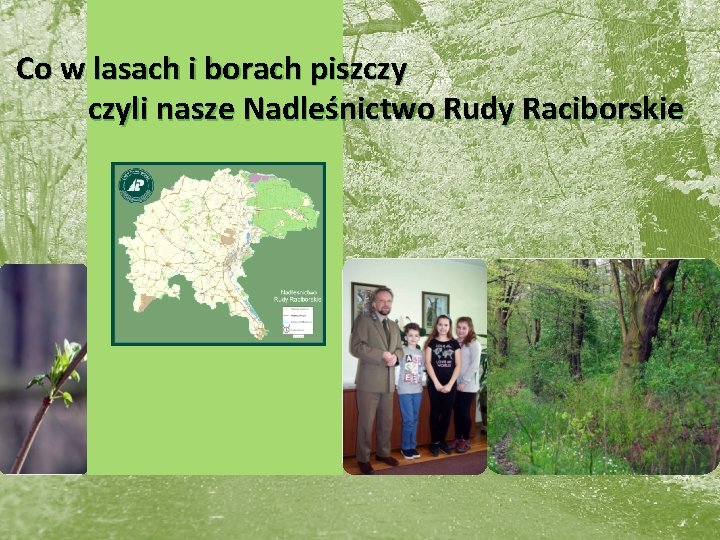 Co w lasach i borach piszczy czyli nasze Nadleśnictwo Rudy Raciborskie 