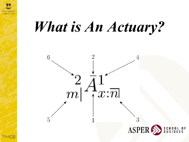 What is An Actuary? 