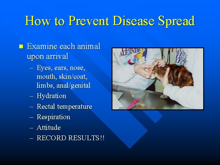 How to Prevent Disease Spread n Examine each animal upon arrival – Eyes, ears,
