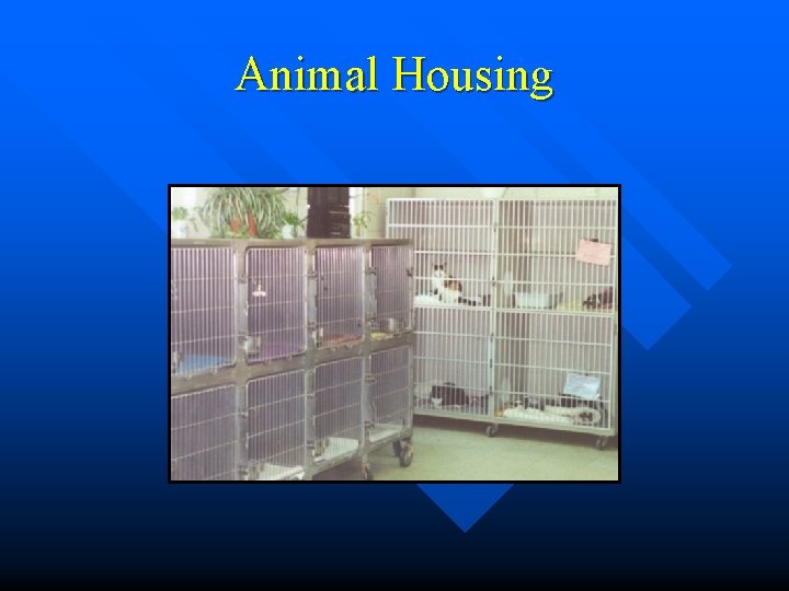 Animal Housing 