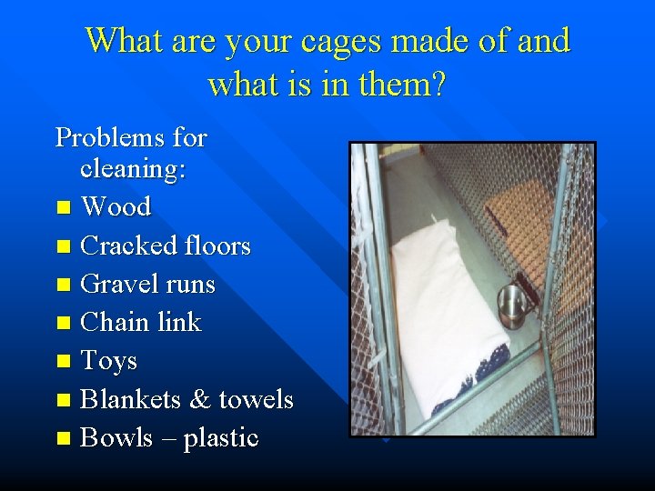 What are your cages made of and what is in them? Problems for cleaning:
