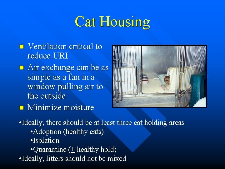 Cat Housing n n n Ventilation critical to reduce URI Air exchange can be