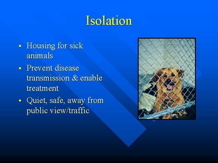 Isolation § § § Housing for sick animals Prevent disease transmission & enable treatment