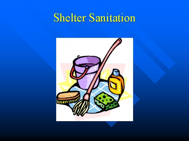 Shelter Sanitation 