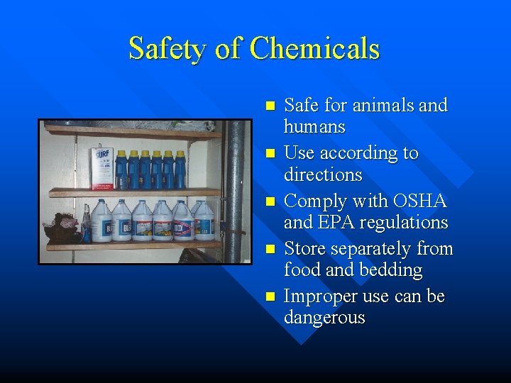 Safety of Chemicals n n n Safe for animals and humans Use according to