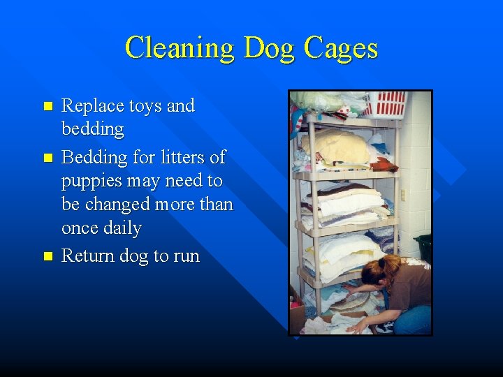 Cleaning Dog Cages n n n Replace toys and bedding Bedding for litters of