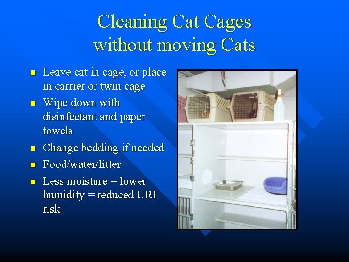 Cleaning Cat Cages without moving Cats n n n Leave cat in cage, or