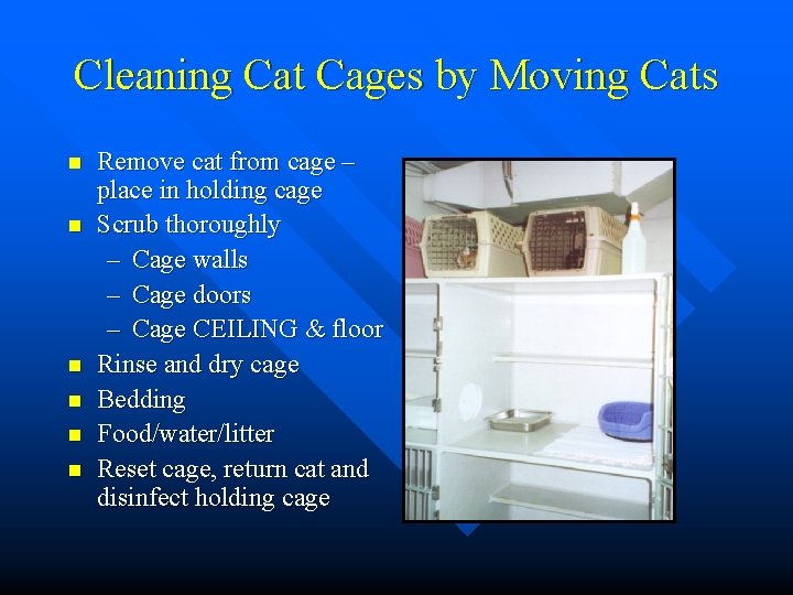 Cleaning Cat Cages by Moving Cats n n n Remove cat from cage –