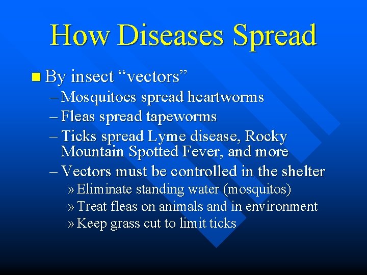 How Diseases Spread n By insect “vectors” – Mosquitoes spread heartworms – Fleas spread