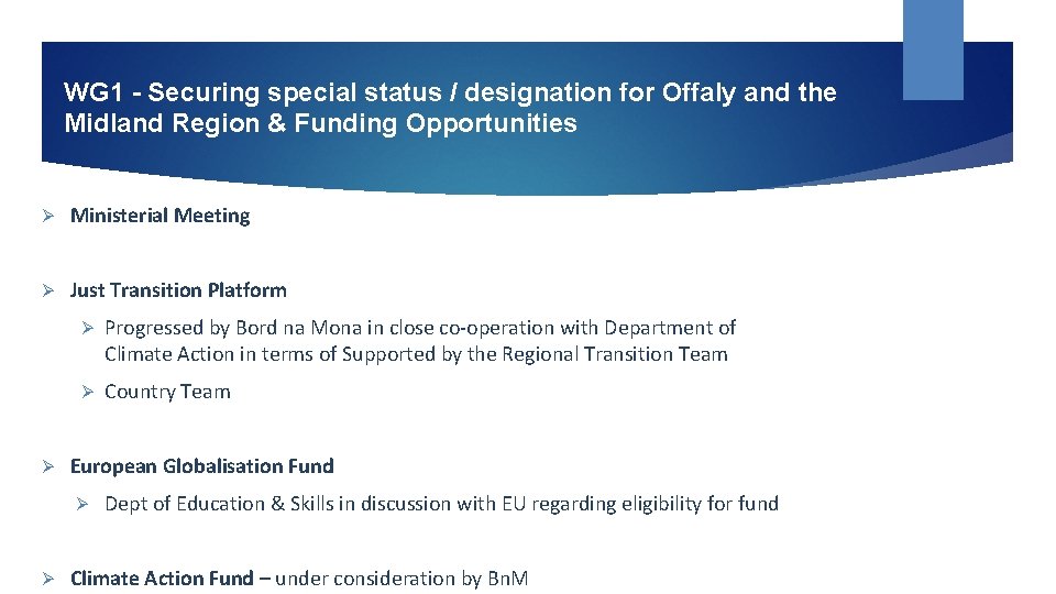WG 1 - Securing special status / designation for Offaly and the Midland Region