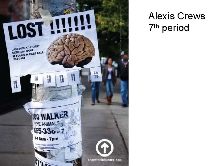 Alexis Crews 7 th period 