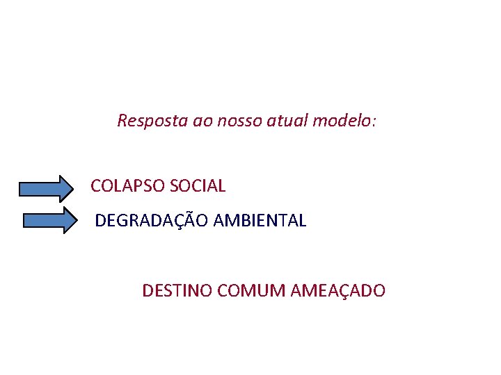 Resposta ao nosso atual modelo: COLAPSO SOCIAL DEGRADAÇÃO AMBIENTAL DESTINO COMUM AMEAÇADO 