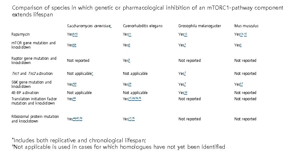 Comparison of species in which genetic or pharmacological inhibition of an m. TORC 1