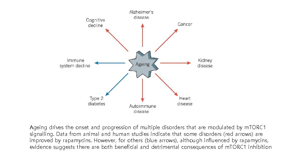 Ageing drives the onset and progression of multiple disorders that are modulated by m.