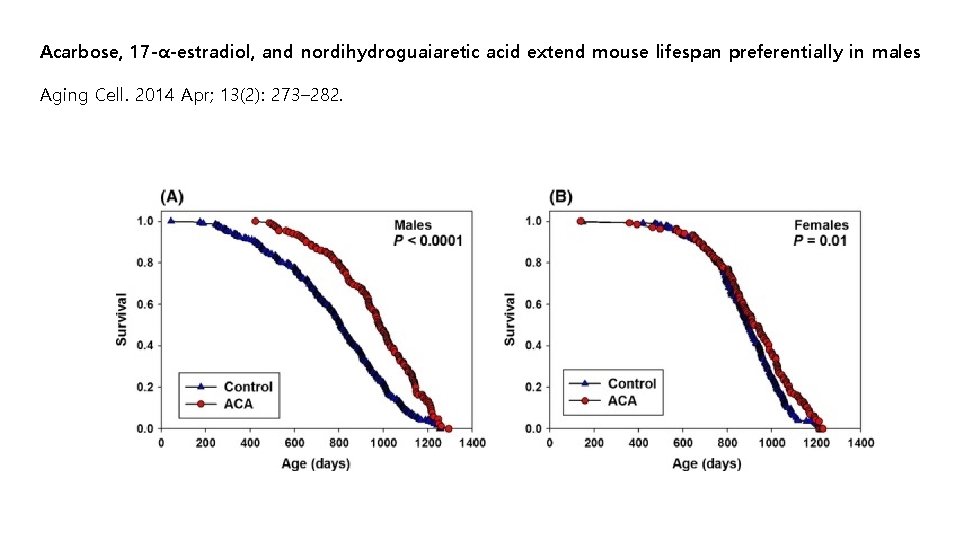Acarbose, 17 -α-estradiol, and nordihydroguaiaretic acid extend mouse lifespan preferentially in males Aging Cell.