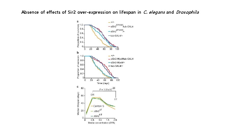 Absence of effects of Sir 2 over-expression on lifespan in C. elegans and Drosophila