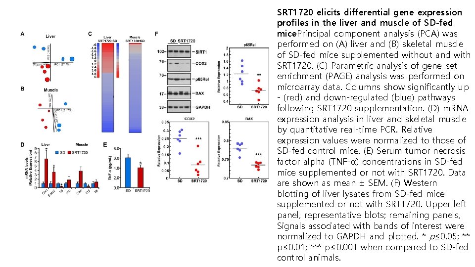SRT 1720 elicits differential gene expression profiles in the liver and muscle of SD-fed