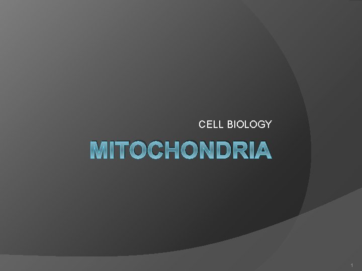 CELL BIOLOGY MITOCHONDRIA 1 