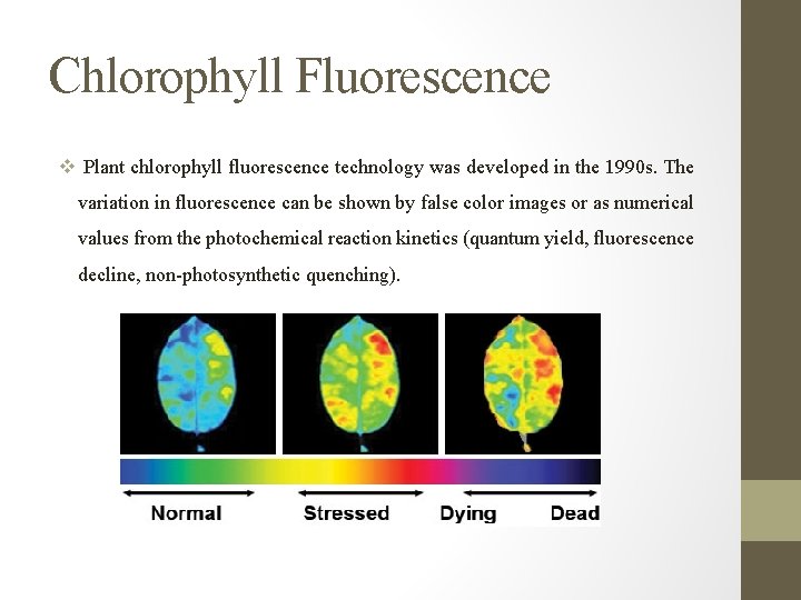 Chlorophyll Fluorescence v Plant chlorophyll fluorescence technology was developed in the 1990 s. The
