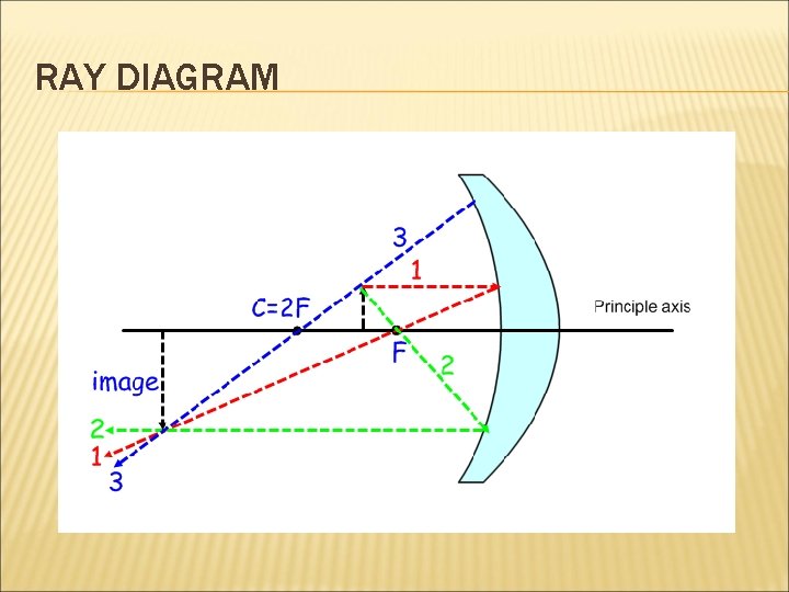 RAY DIAGRAM 