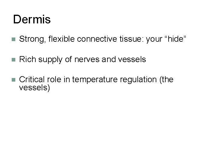 Dermis n Strong, flexible connective tissue: your “hide” n Rich supply of nerves and